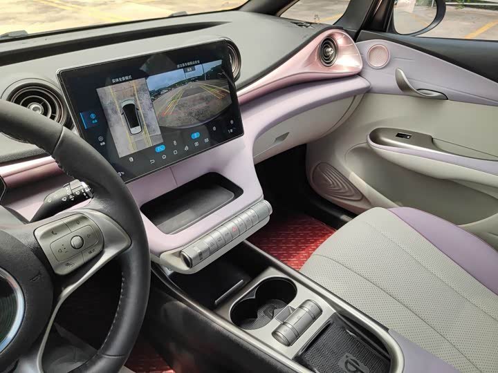 Byd Dolphin Knight Edition 2022 фото 9