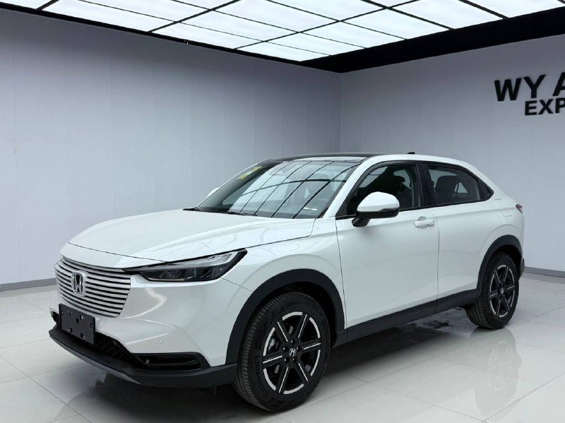 Honda Binzhi 2023