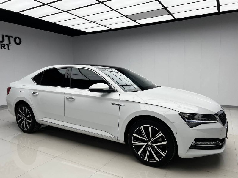 Skoda Superb 2024 фото 2