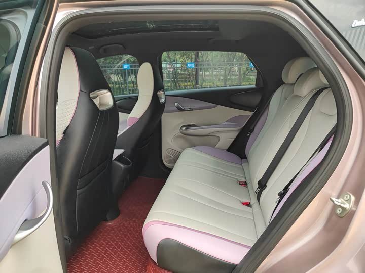 Byd Dolphin Knight Edition 2022 фото 6