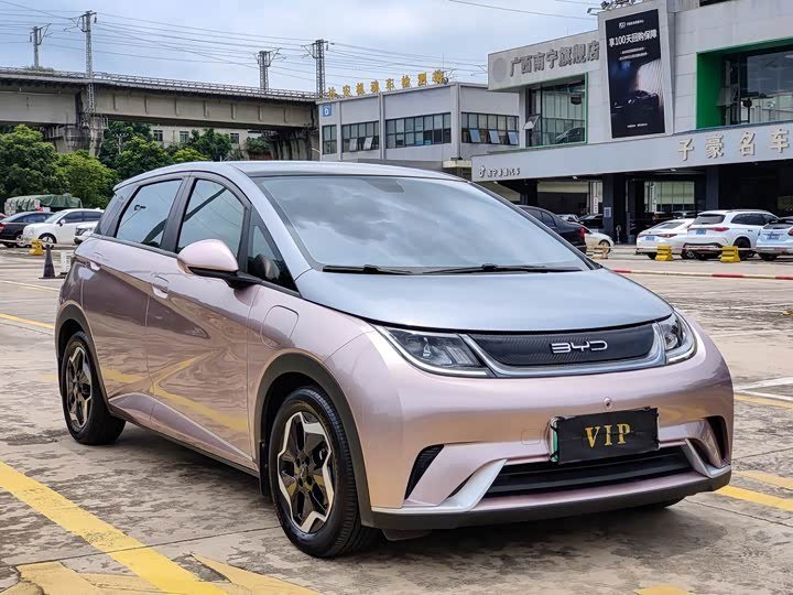 Byd Dolphin Knight Edition 2022 фото 3