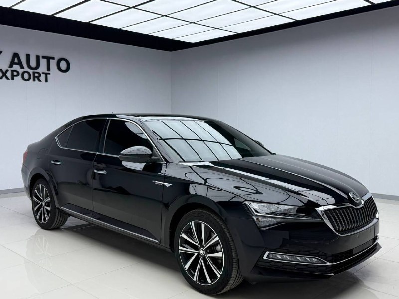 Skoda Superb 2024 фото 2