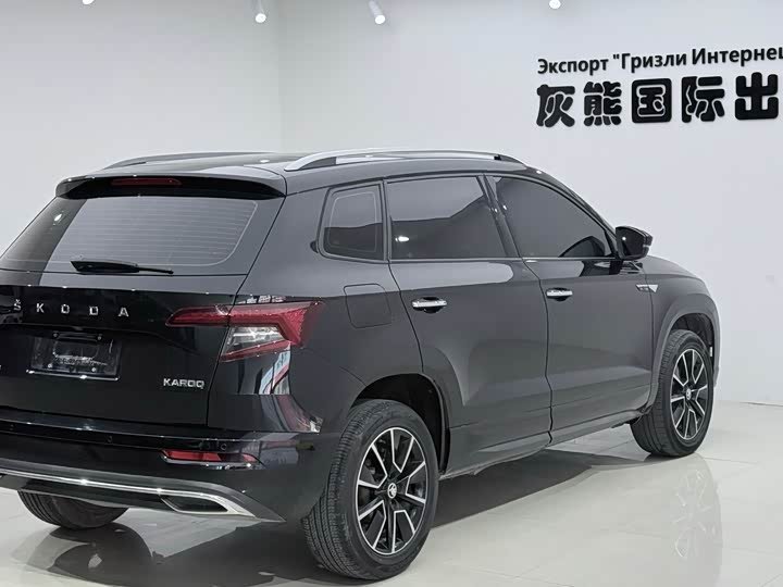 Skoda Karoq Premium Edition 2023 фото 3
