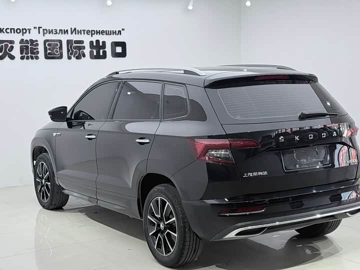 Skoda Karoq Premium Edition 2023 фото 4