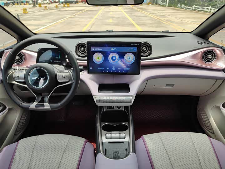 Byd Dolphin Knight Edition 2022 фото 7