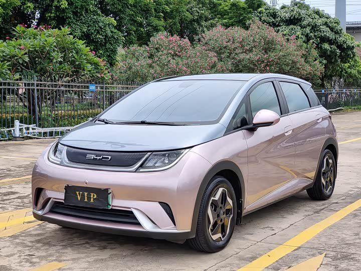 Byd Dolphin Knight Edition 2022 фото 1