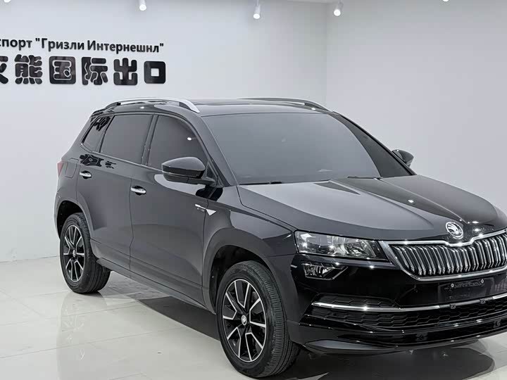 Skoda Karoq Premium Edition 2023 фото 2