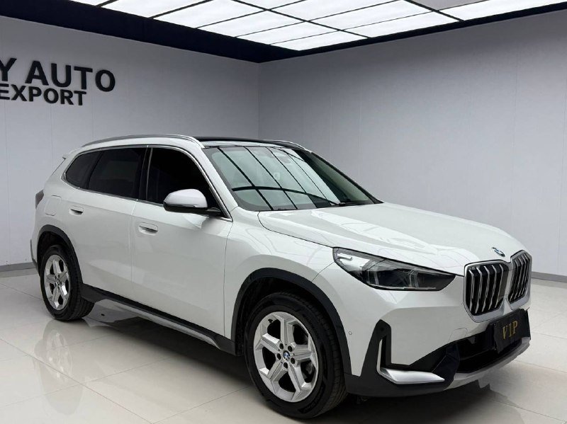 BMW X1 2024 фото 2