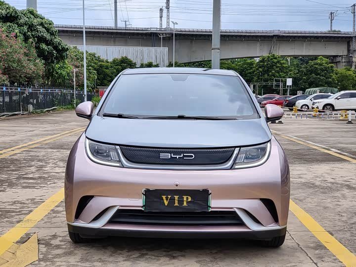 Byd Dolphin Knight Edition 2022 фото 2